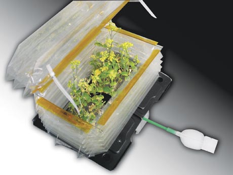 The unique bellows system and hydration septum of the Space Garden 