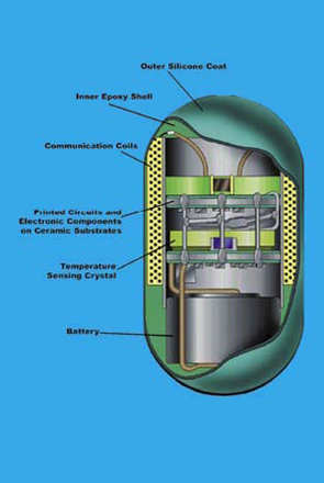 A look at the interior of the ingestible thermometer pill