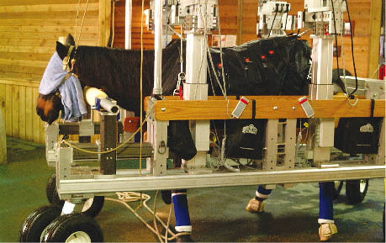 Underwater Treadmill Nasa