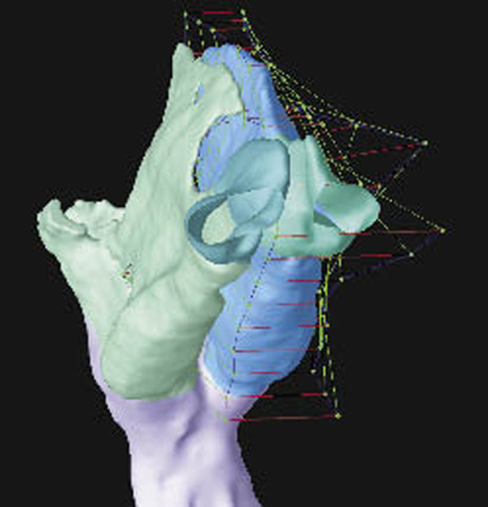 Screenshot of Sculptor object being reshaped 