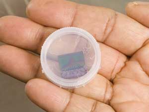 A postage stamp-size biosensor holding millions of carbon nanotubes