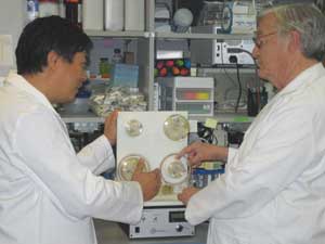 Two scientists examine a bioreactor.