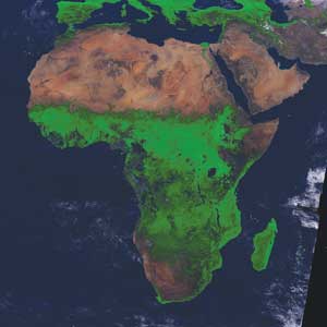 A 1994 satellite image shows African vegetation patterns.
