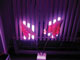 Light distribution system Light distribution system