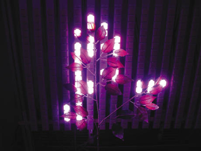 Light distribution system 