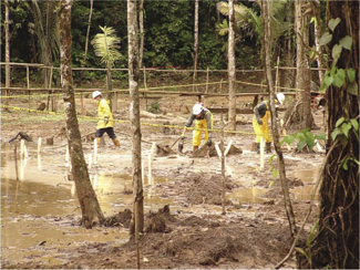 Workers cleanup oil spill site 