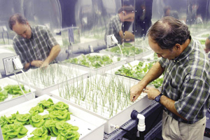 Hydroponic techniques 