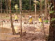 Oil spill cleanup Oil spill cleanup