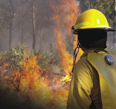 Firefighter watching wildfire Firefighter watching wildfire