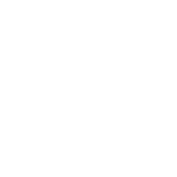Consumer Goods