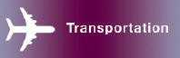 Transportation Icon