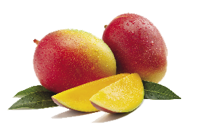 Mangoes Mangoes
