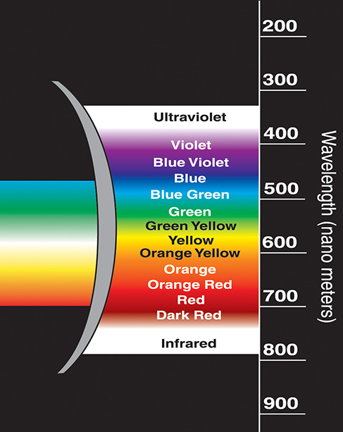 Wavelengths filtered by Eagle Eyes lenses