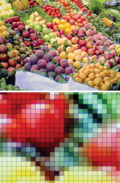 Two images of fruit at different magnifications show the microdisplay's vivid color.