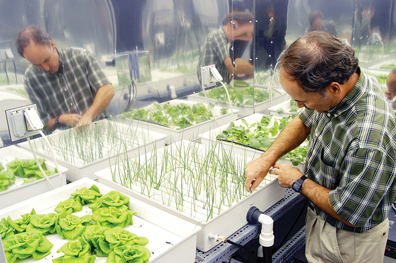 Man in plant growth chamber at Kennedy Space Center