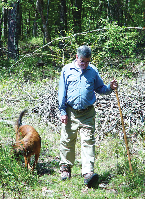 Man walks dog with cane