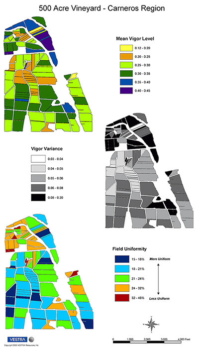 The Vineyard Block Uniformity Map