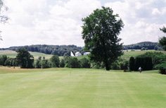 Golf club green with trees in background