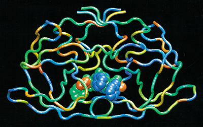 Depiction of realistic modeling of molecular interaction drug/proteins