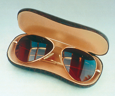 sunglasses that use Hawkeye lenses in a case