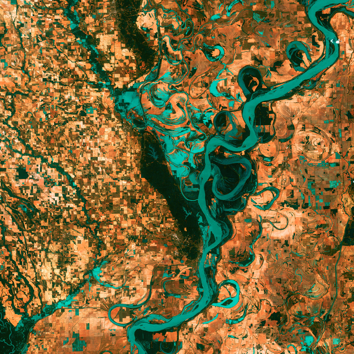 Satellite image of Mississippi River