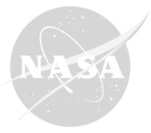gray offical NASA logo