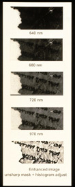 Several images show the progressive enhancement of text from the Dead Sea Scrolls