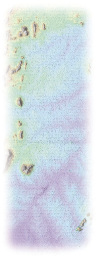 of STS-99 Space Shuttle Mission topographic shows an area south of the Sao Franciso River in Brazil
