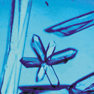 of genetic materials and proteins found within space environments
