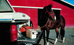 VetScan tests are available for equine and bovine animals