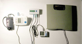 The system has an interface device and data collection server