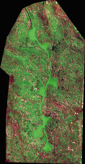DIPEX-classified map product acquired for a timber company