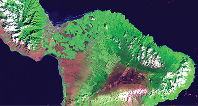 Earth Images Enable Near-Perfect Crop Predictions