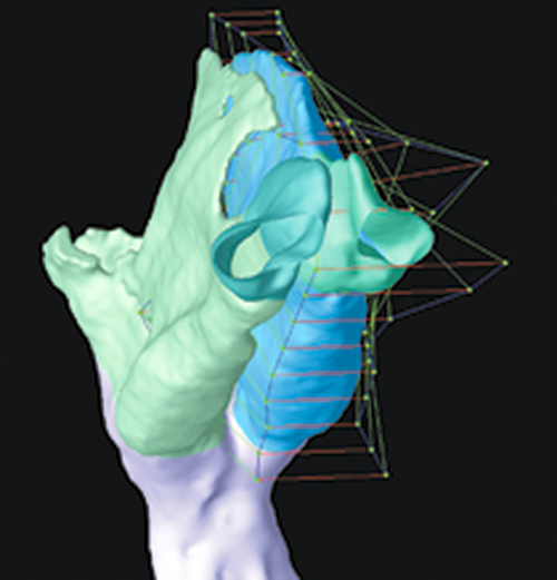Screenshot of Sculptor object being reshaped