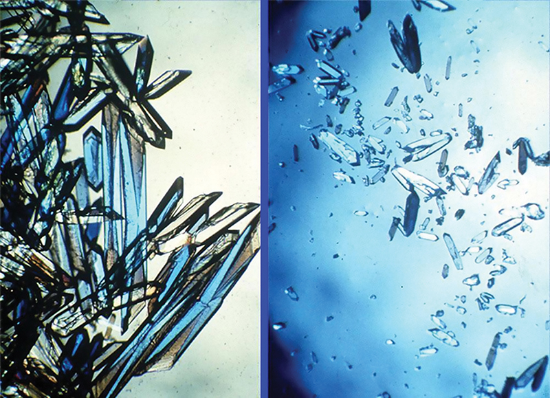 Large protein crystals on left formed in space