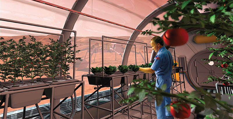 A conceptual rendering of what a Martian garden could look like