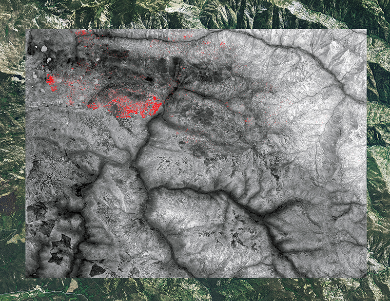 Thermal image of a forest fire