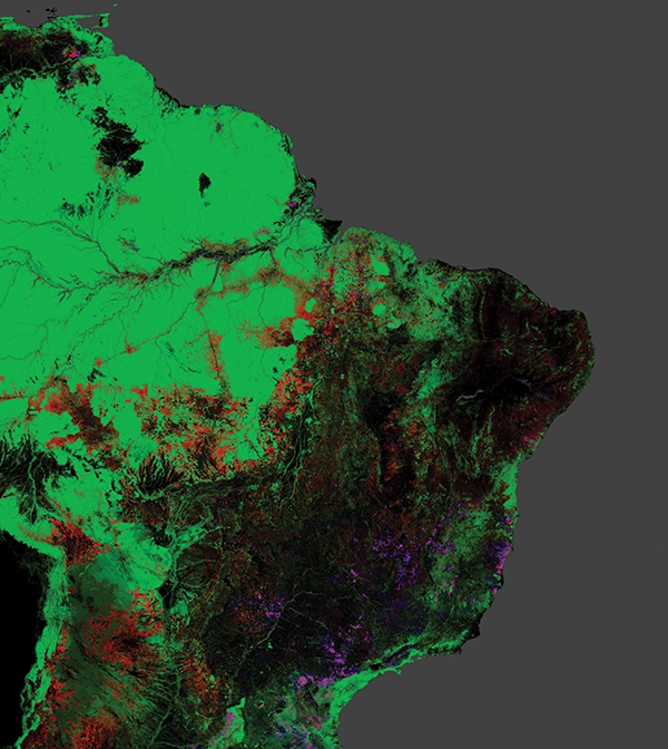 GoogleMaps and Landsat view of the Amazon rainforest