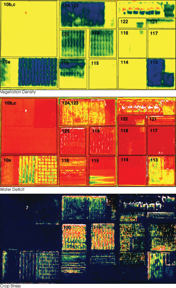 Hyperspectral imagery of vegetation