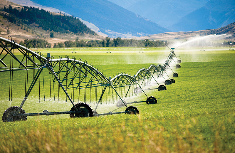 Irrigation in California field