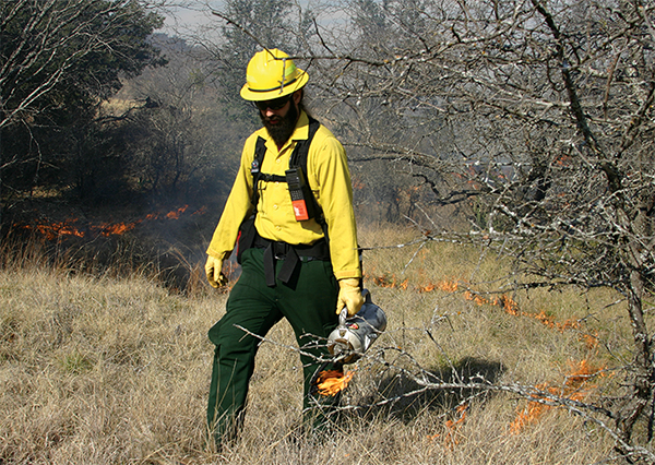 Fire management worker starting a controlled burn