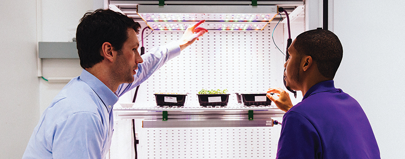 A NASA researcher looks at LED lights installed in a plant growth chamber with the lights’ lead developer