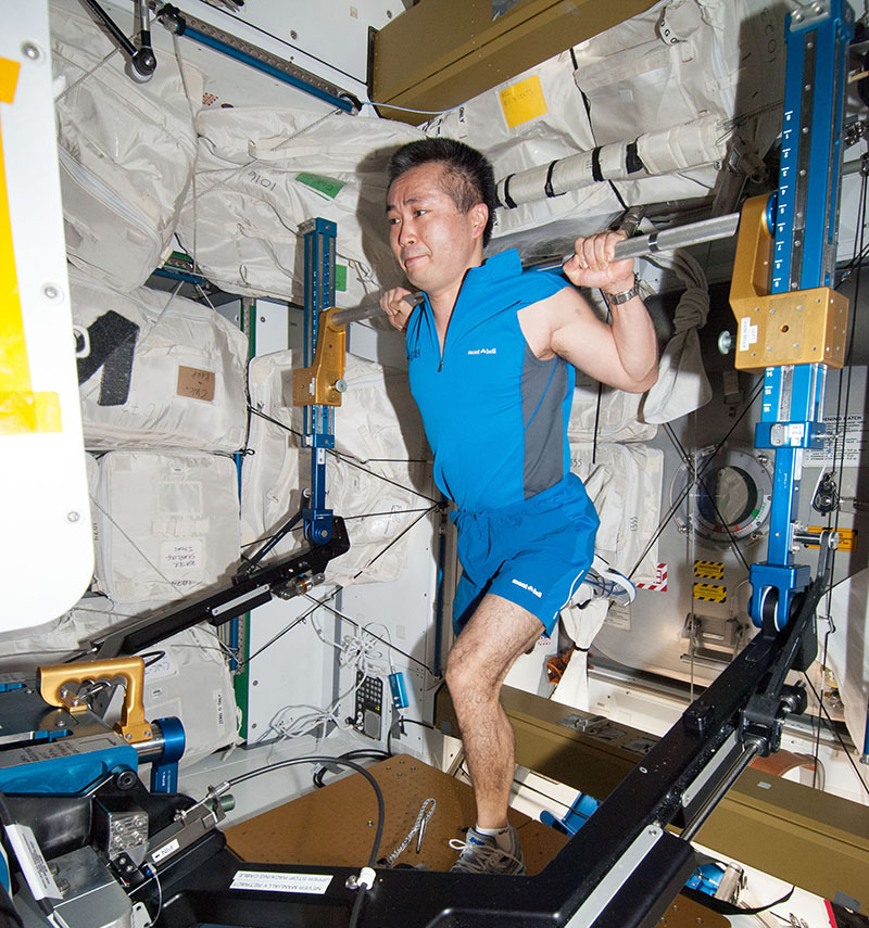 Japanese Aerospace Exploration Agency astronaut Koichi Wakata works out on the International Space Station