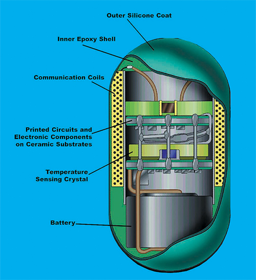 A look at the interior of the ingestible thermometer pill