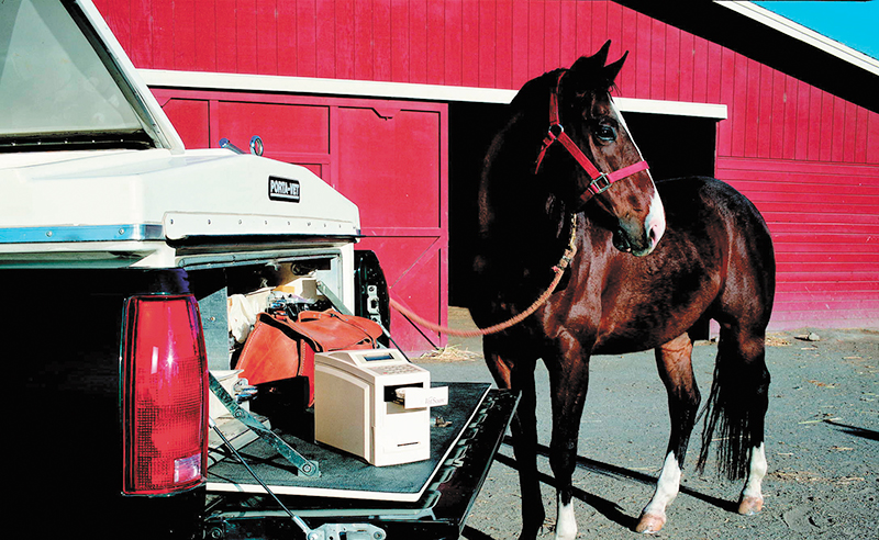 Horse outside of barn tethered to pickup truck, with VetScan equipment.