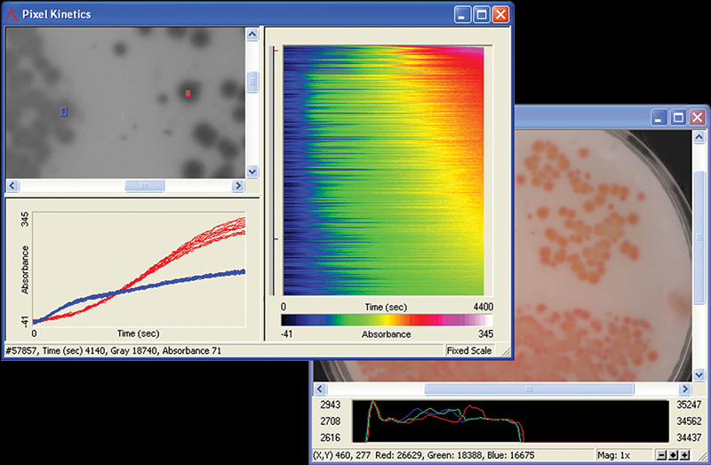 Two computer screen shots show digital imaging spectroscopy results