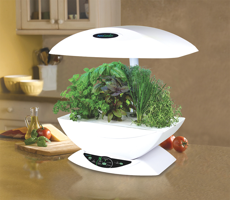 AeroGarden with herbs growing and thriving