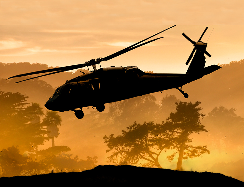 Helicopter hovers over a forest