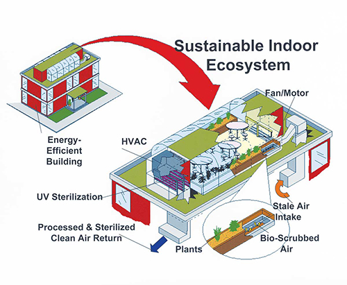 Diagram of sustainable indoor ecosystem