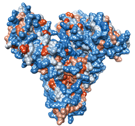 Atomic structure of human serum albumin